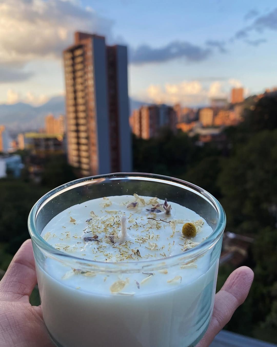 Vela de manzanilla